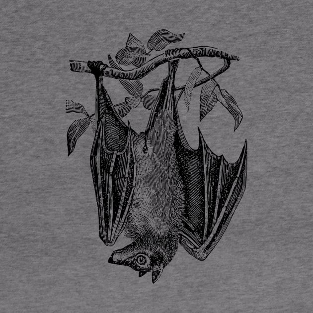 Upside Down Bat by Vintage Sketches